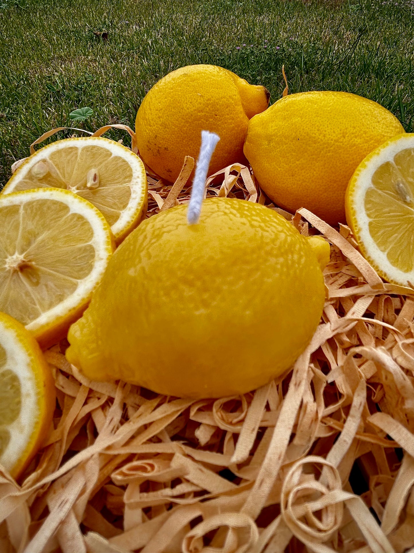 Enhance your space with a beautifully crafted lemon-shaped beeswax candle. Made from 100% pure, ethically sourced New Zealand beeswax, this candle offers a clean, slow burn with a naturally gentle honey aroma. Free from artificial fragrances, dyes, and toxins, it is a safe and eco-friendly choice for any home. Both decorative and functional, this bright golden candle adds a fresh, uplifting touch to shelves, tables, and gifting moments.