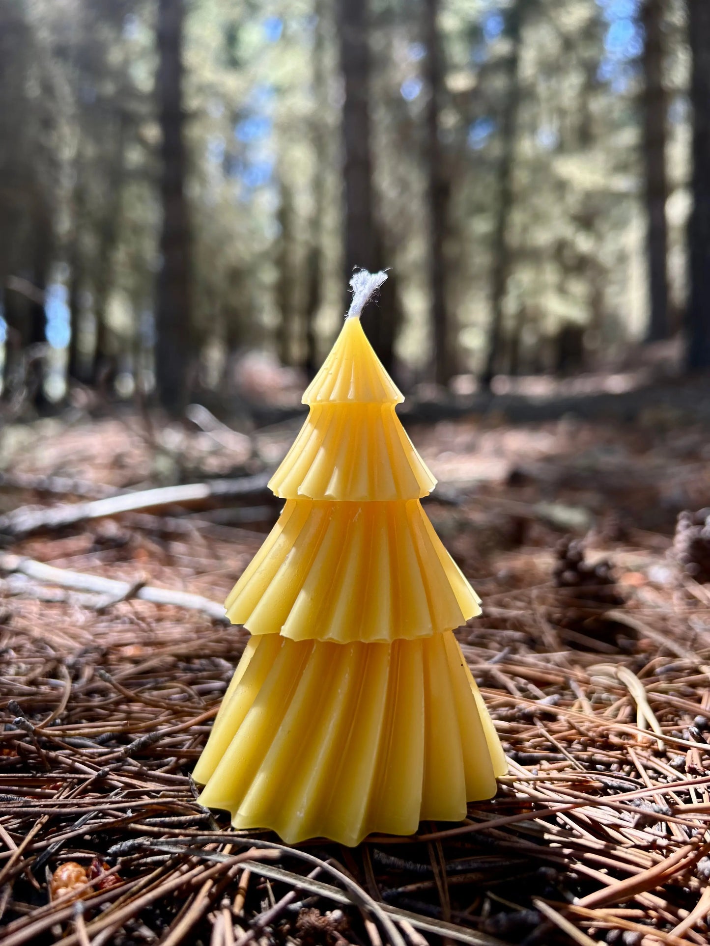 Inspired by New Zealand’s natural beauty, the Golden Kauri Beeswax Tree Candle is crafted from 100% pure New Zealand beeswax. Shaped like a timeless evergreen, it features elegant layered details and a warm golden hue. Naturally honey-scented and free from synthetic fragrances or additives, it burns cleanly and slowly, creating a cosy, calming glow. A beautiful eco-friendly piece for seasonal décor, gifting, or everyday ambiance.
