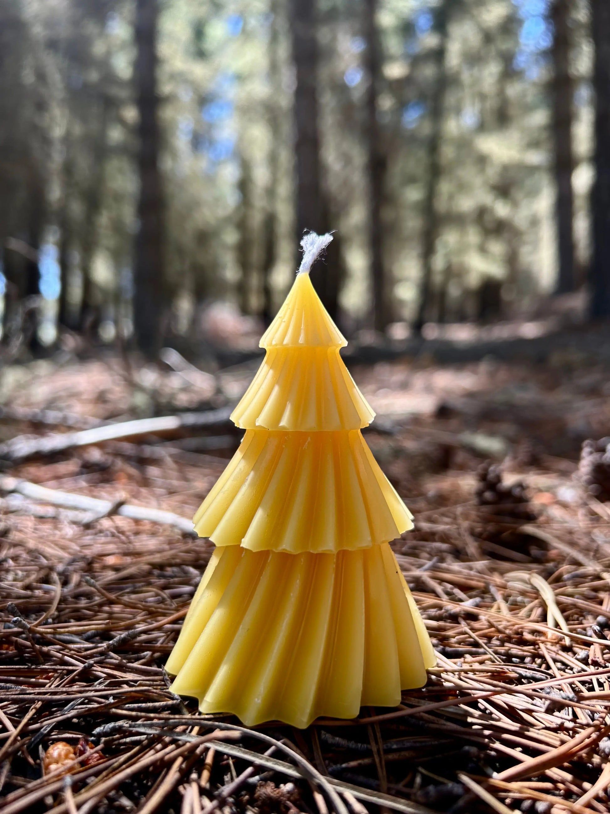 Inspired by New Zealand’s natural beauty, the Golden Kauri Beeswax Tree Candle is crafted from 100% pure New Zealand beeswax. Shaped like a timeless evergreen, it features elegant layered details and a warm golden hue. Naturally honey-scented and free from synthetic fragrances or additives, it burns cleanly and slowly, creating a cosy, calming glow. A beautiful eco-friendly piece for seasonal décor, gifting, or everyday ambiance.