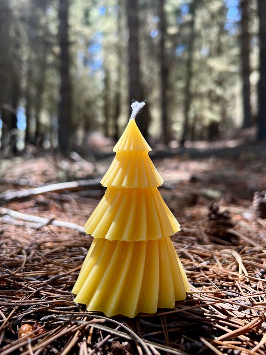 Inspired by New Zealand’s natural beauty, the Golden Kauri Beeswax Tree Candle is crafted from 100% pure New Zealand beeswax. Shaped like a timeless evergreen, it features elegant layered details and a warm golden hue. Naturally honey-scented and free from synthetic fragrances or additives, it burns cleanly and slowly, creating a cosy, calming glow. A beautiful eco-friendly piece for seasonal décor, gifting, or everyday ambiance.