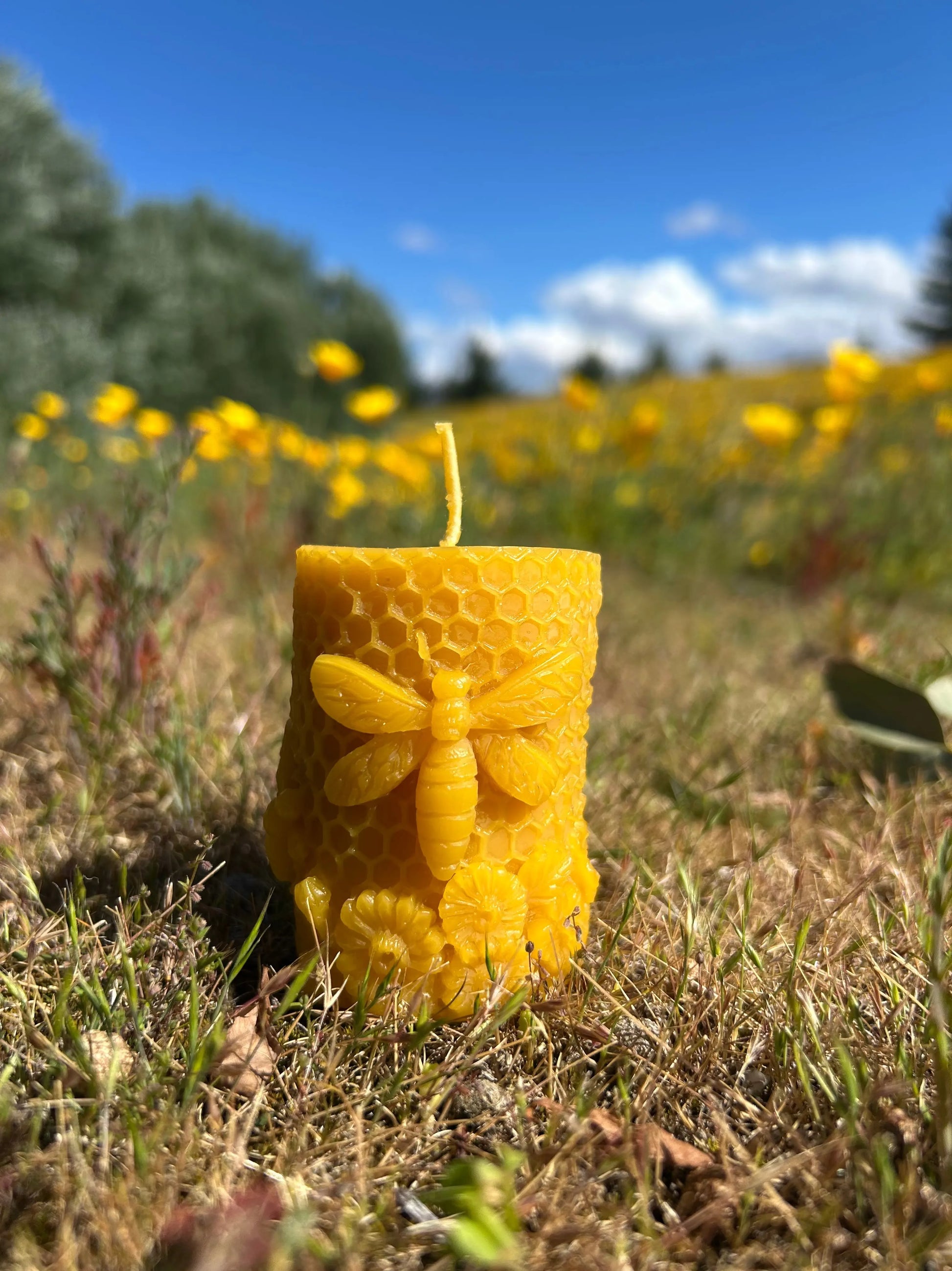 The Golden Meadow Bee Candle is a beautifully detailed beeswax creation inspired by the gentle rhythm of the hive. Featuring a stunning honeycomb texture adorned with a sculpted bee and delicate blossoms, this candle brings a touch of nature’s artistry into your home. Hand-poured in small batches using 100% pure New Zealand beeswax, it releases a naturally soft honey aroma when lit — no artificial fragrances or dyes added.