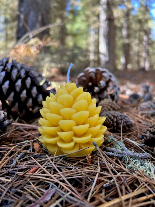 Our Alpine Pinecone Candle is hand-poured using 100% pure beeswax, inspired by the natural textures of pinecones found throughout the forests of Central Otago.