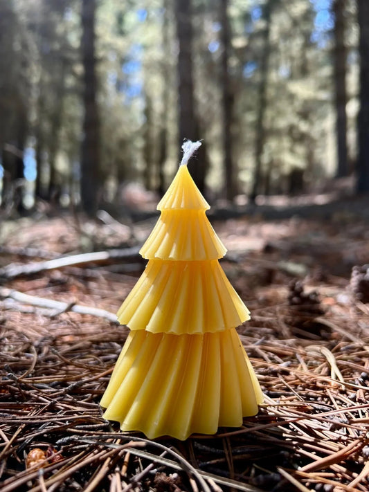 Inspired by New Zealand’s natural beauty, the Golden Kauri Beeswax Tree Candle is crafted from 100% pure New Zealand beeswax. Shaped like a timeless evergreen, it features elegant layered details and a warm golden hue. Naturally honey-scented and free from synthetic fragrances or additives, it burns cleanly and slowly, creating a cosy, calming glow. A beautiful eco-friendly piece for seasonal décor, gifting, or everyday ambiance.