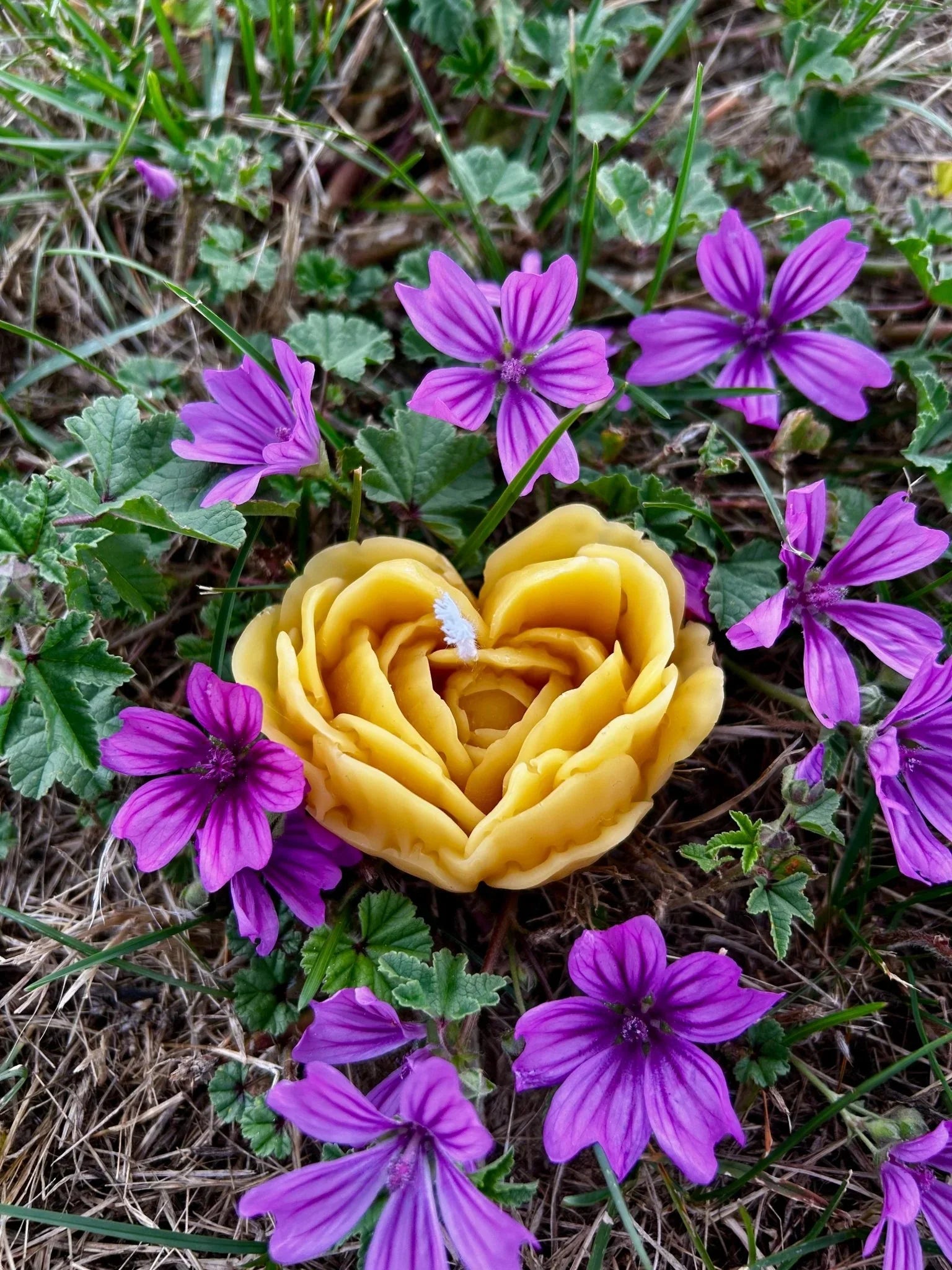 Enhance your space with this delicate flower-shaped beeswax candle, handcrafted from 100% pure, ethically sourced New Zealand beeswax. Designed to burn cleanly and slowly, it releases a naturally soft honey aroma without any added fragrance, dyes, or toxins.