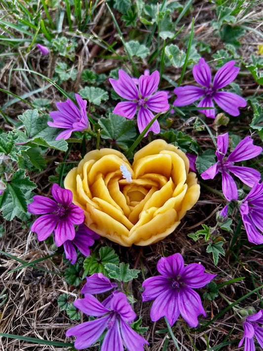 Enhance your space with this delicate flower-shaped beeswax candle, handcrafted from 100% pure, ethically sourced New Zealand beeswax. Designed to burn cleanly and slowly, it releases a naturally soft honey aroma without any added fragrance, dyes, or toxins.